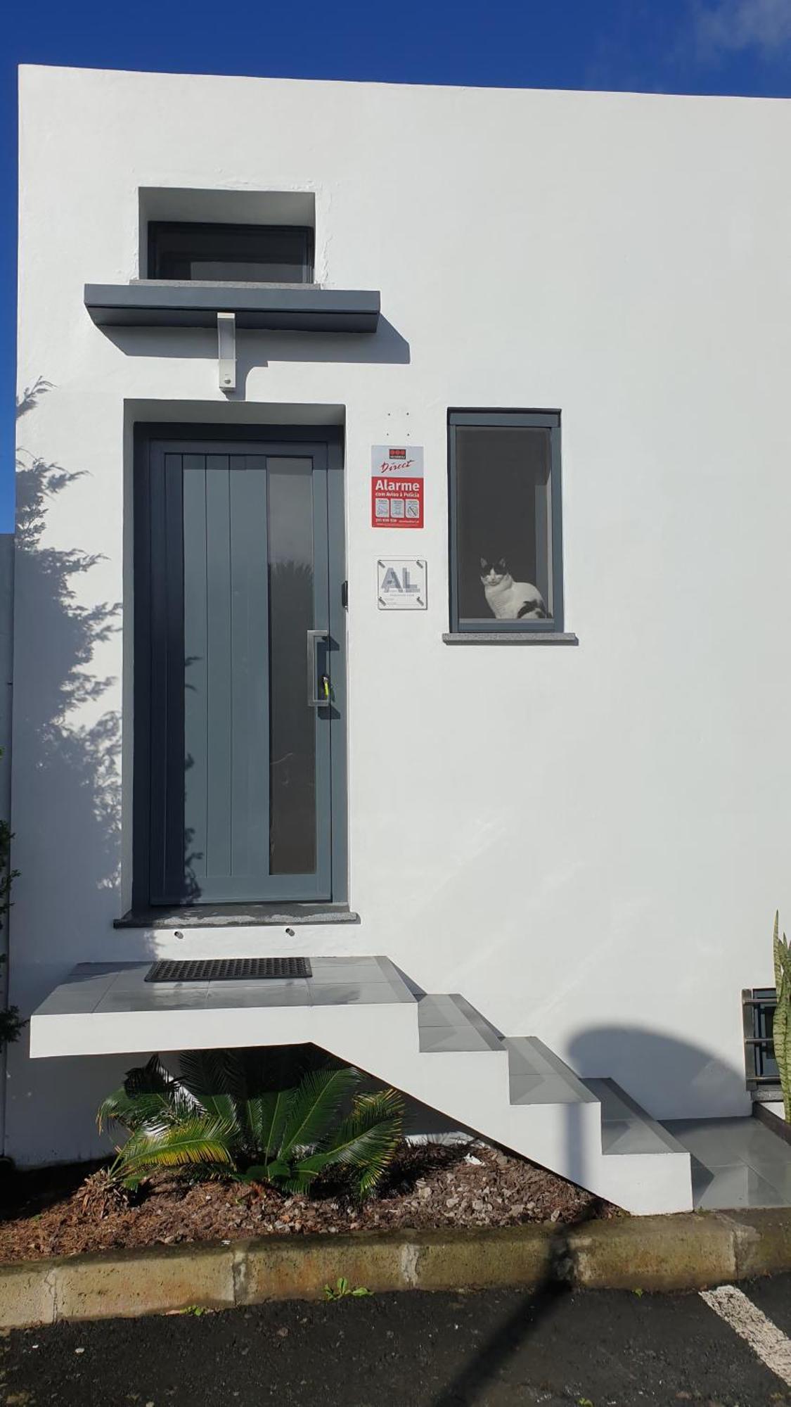 Caminhos Nos Levam Pela Ilha Lägenhet Ponta Delgada Exteriör bild